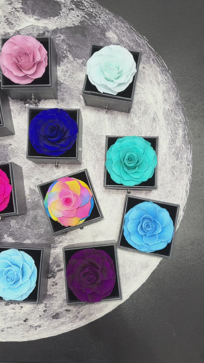 3 Preserved Natural Roses