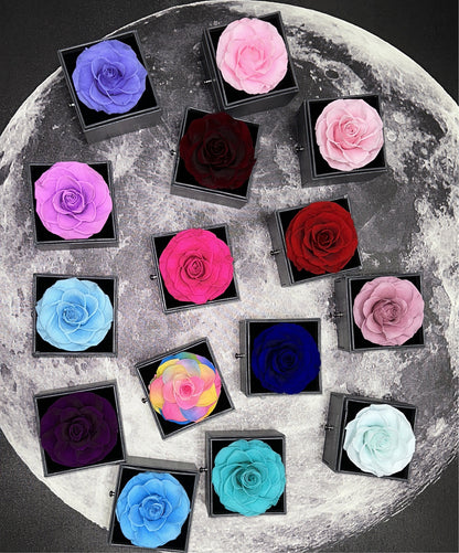 3 Preserved Natural Roses